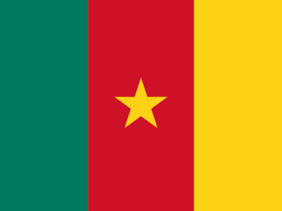 Flag Cameroon