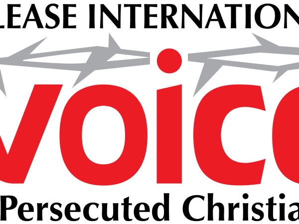 VOICE LOGO MASTER transparent