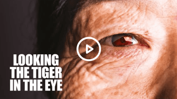 Looking The Tiger In The Eye 930x522