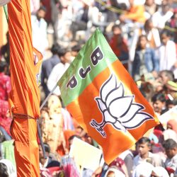 India Bjp Flag