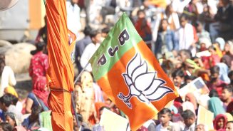 India Bjp Flag